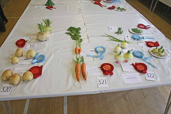 Largs Horticultural Show